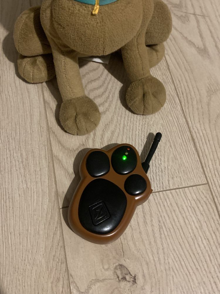 Scooby Doo interaktywny hide and seek