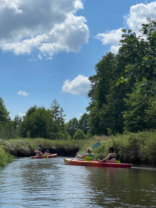 Sylwester,domek lub pokoiki,kuligi z ogniskiem,balia z jacuzzi,las.