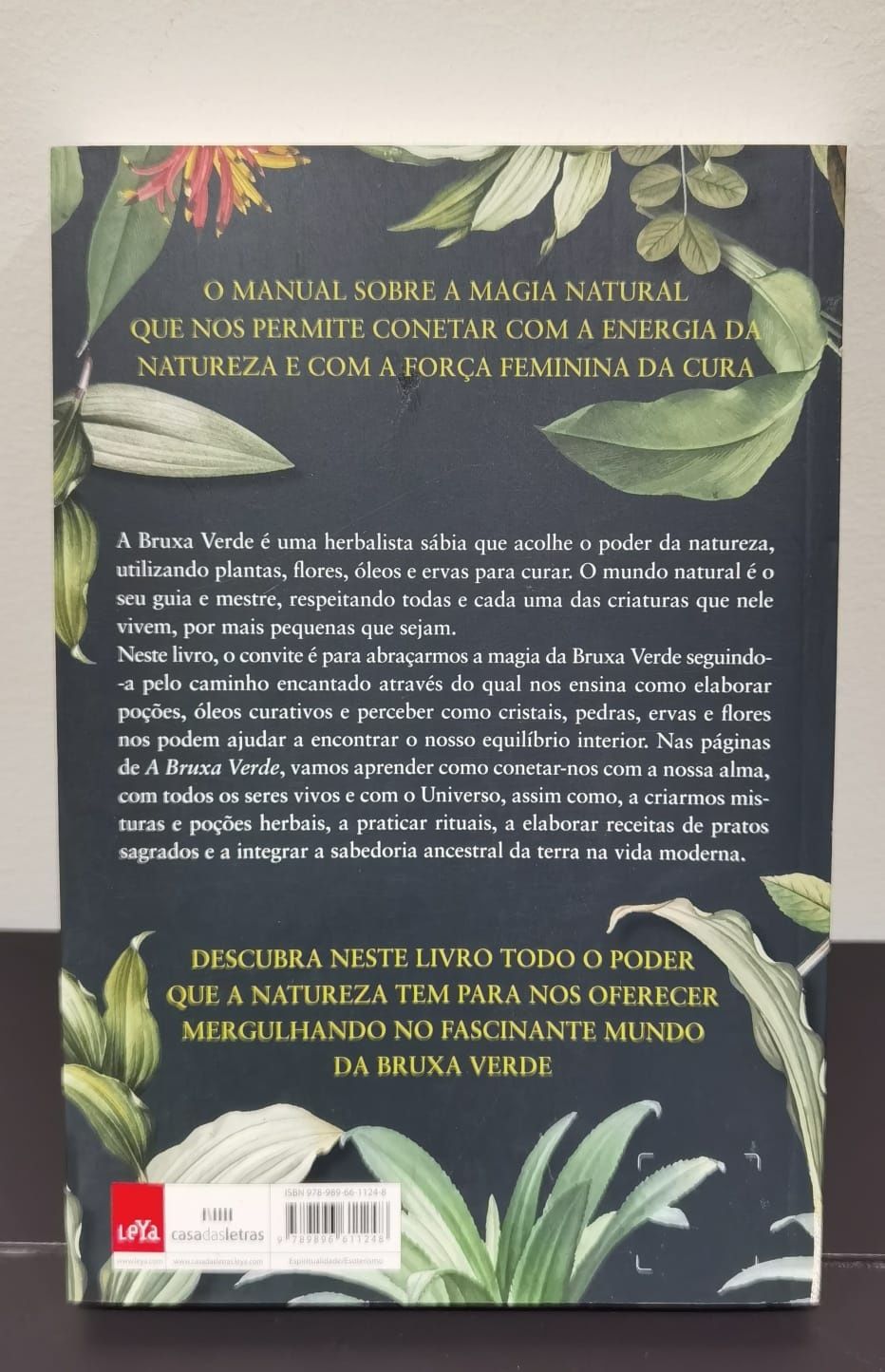 A Bruxa Verde (NOVO)