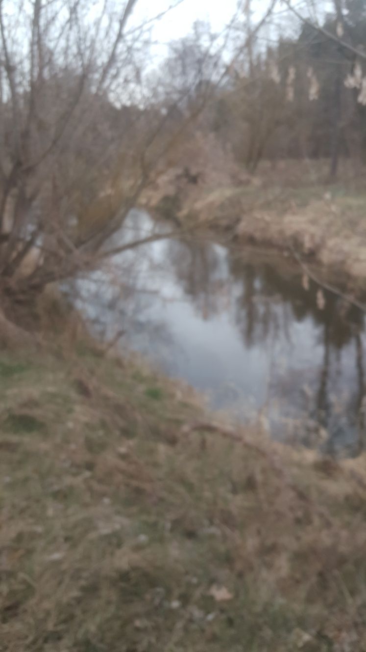 Działka rekreacyjna z dostępem do rzeki Grabi k