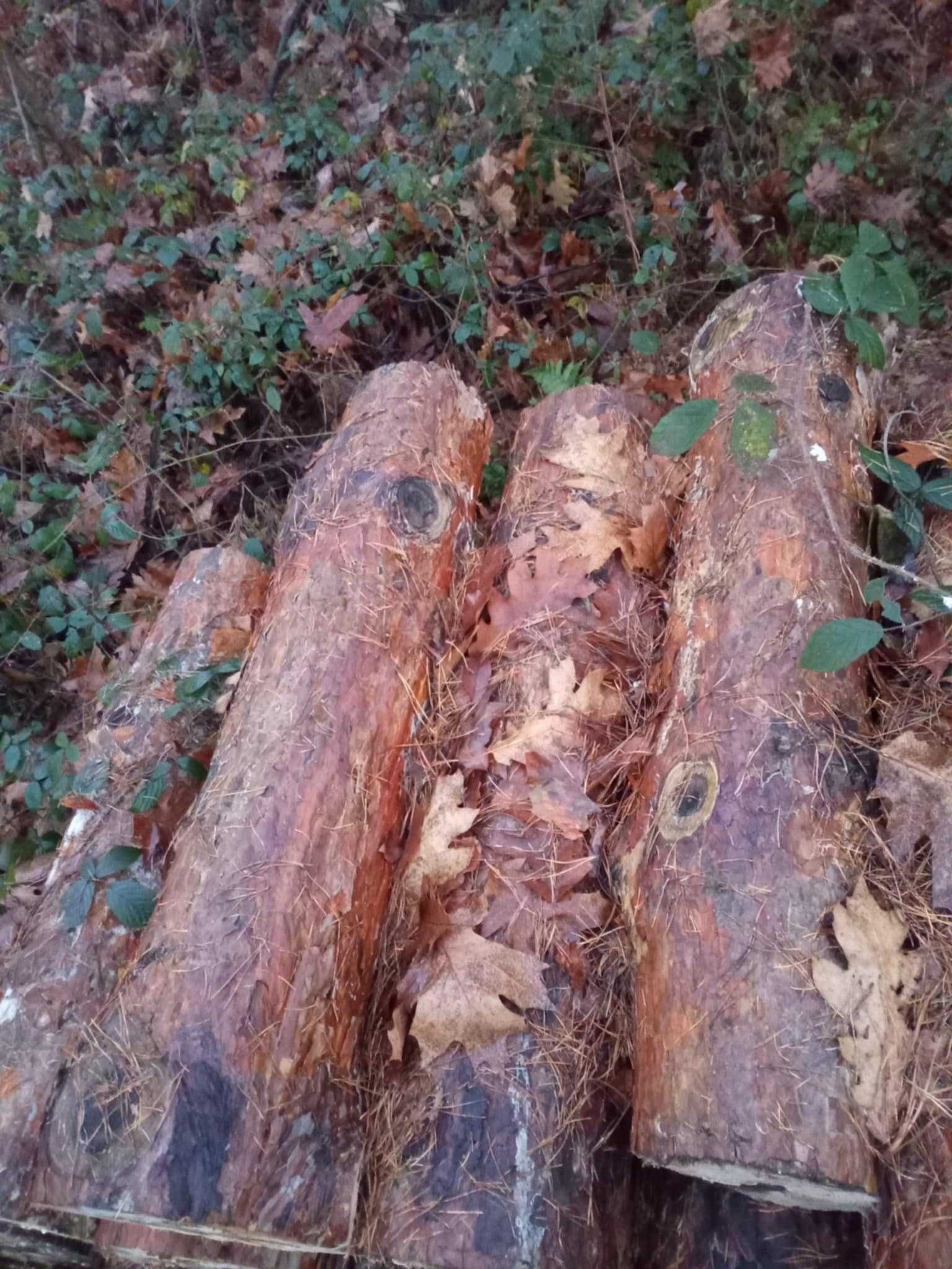 drzewo opałowe gałęziówka
