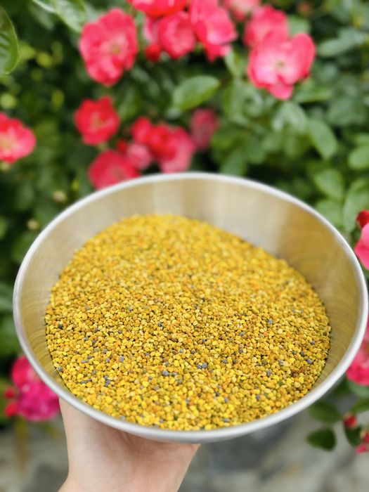 Pyłek kwiatowy pszczeli