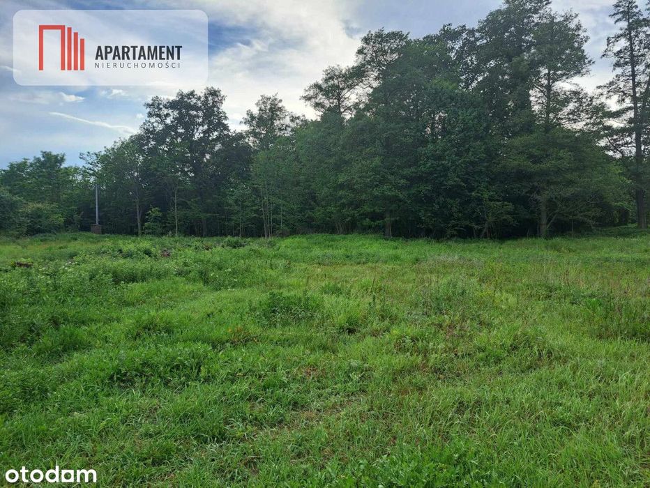 Działka z widokim na las 35 km od Wrocławia!