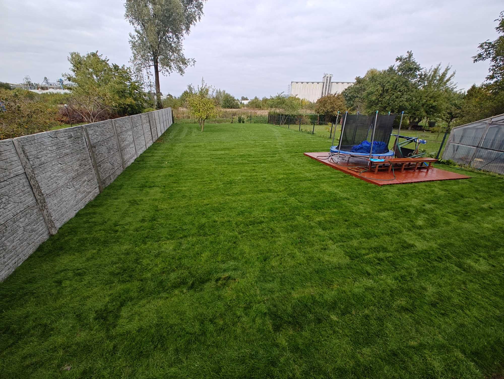 Trawa z rolki, premium, producent