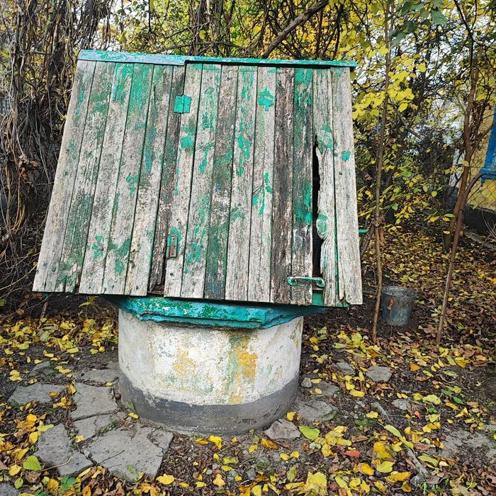 Продам будинок  із літньою кухнею та ділянкою 35 соток, Савинці.