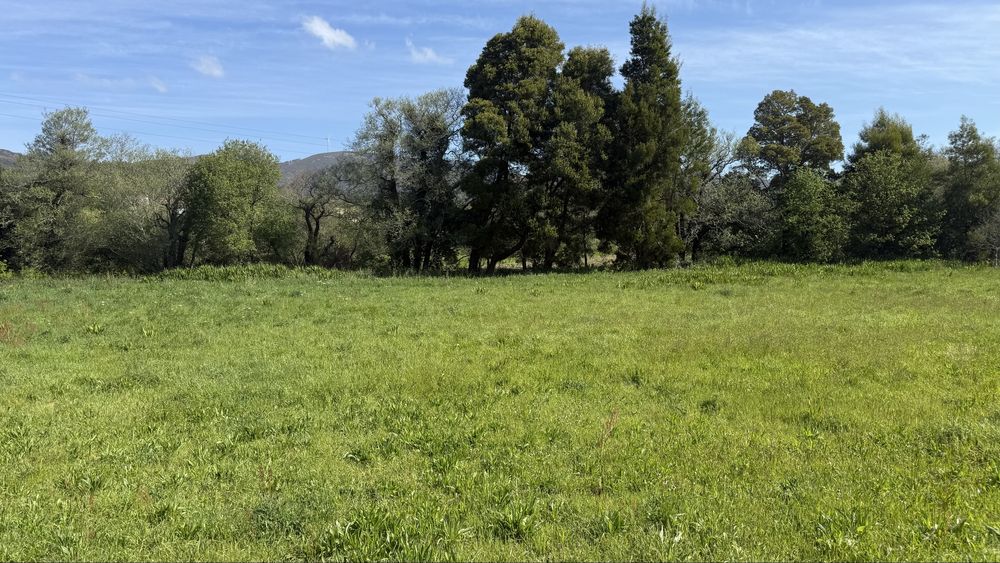 Terreno construção 7650m2 a 5 min da Praia de Ancora