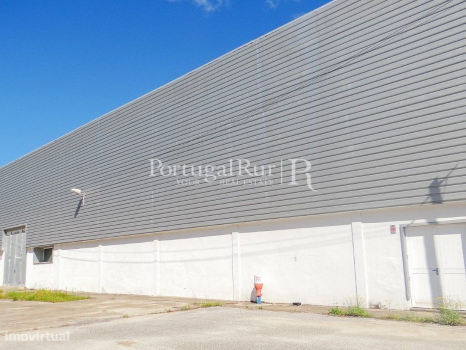 Lagar de azeite com unidade industrial de 3.350m2 em Proença-a-Nova