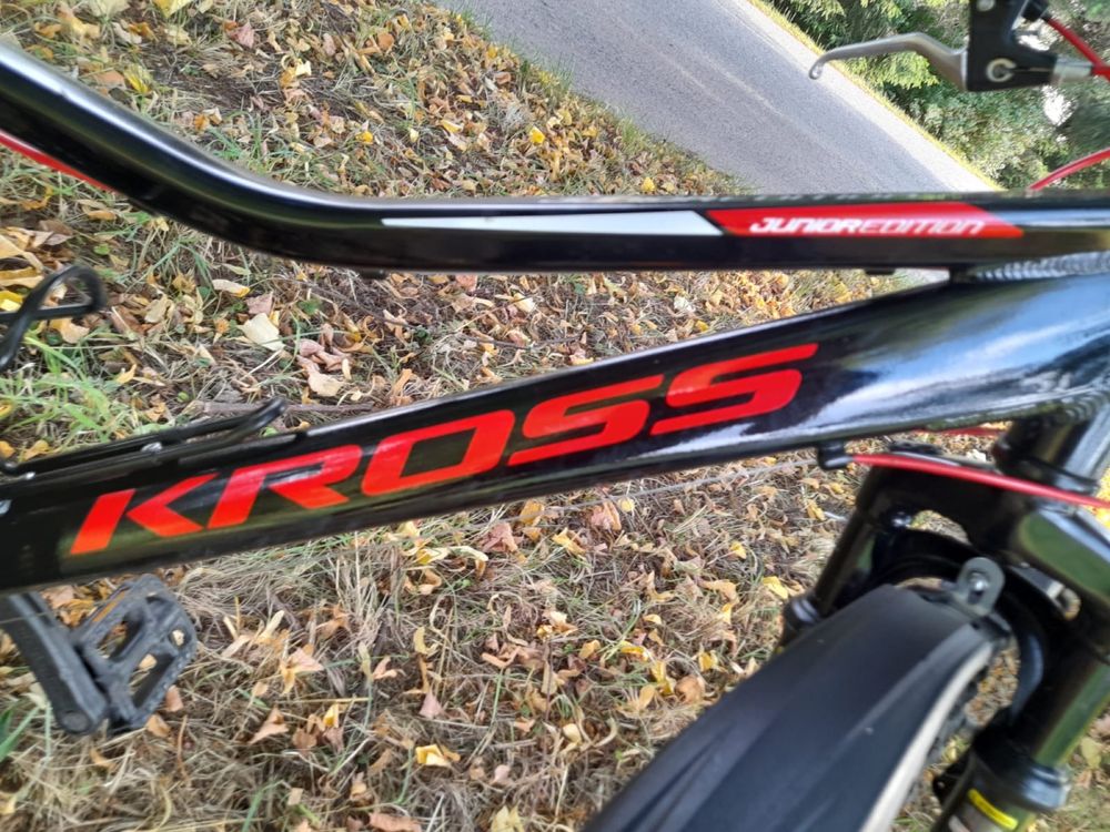 Rower kross 19 cali