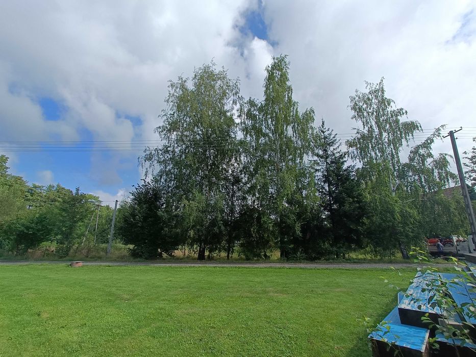 Usługi ogrodnicze, porządkowanie działek, wycinka