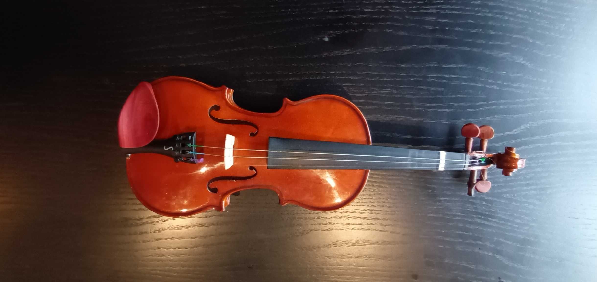 Violino stentor student
