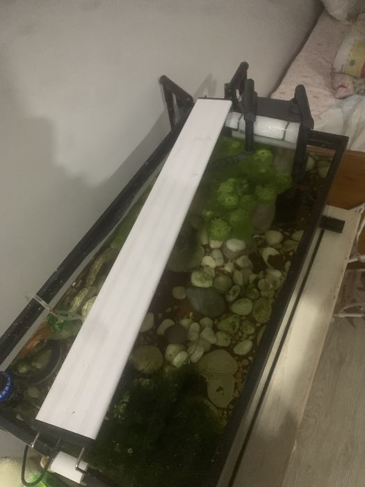 Led para aquario com tres cores