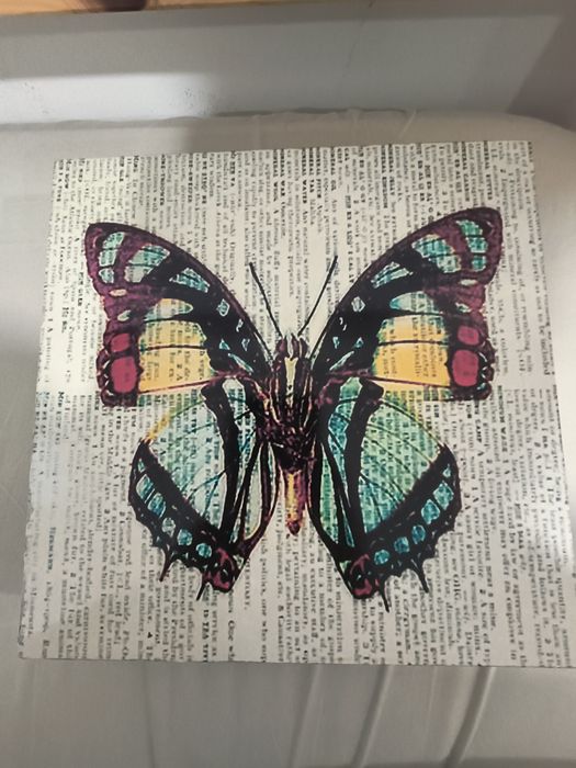 Caixa borboleta para arrumação ou decoração