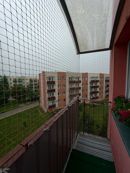 Siatka na balkon, siatka dla kota, siatka przeciw gołębiom