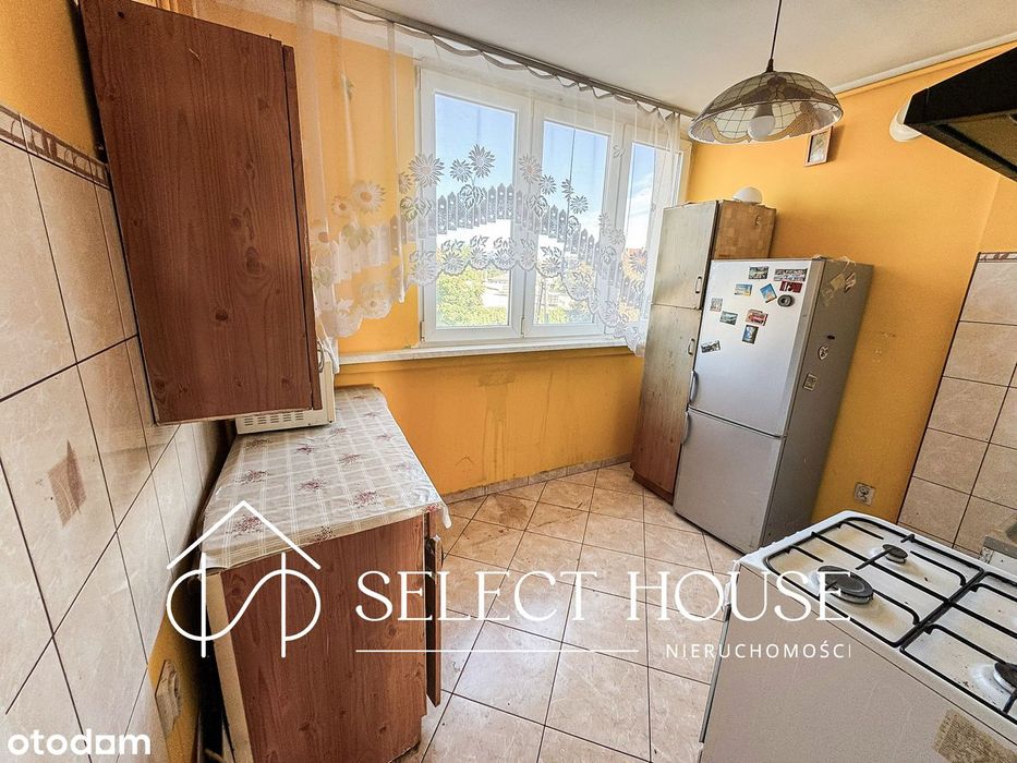 3pokojowe mieszkanie IIp. Strzegom Al. Wojska Polskiego