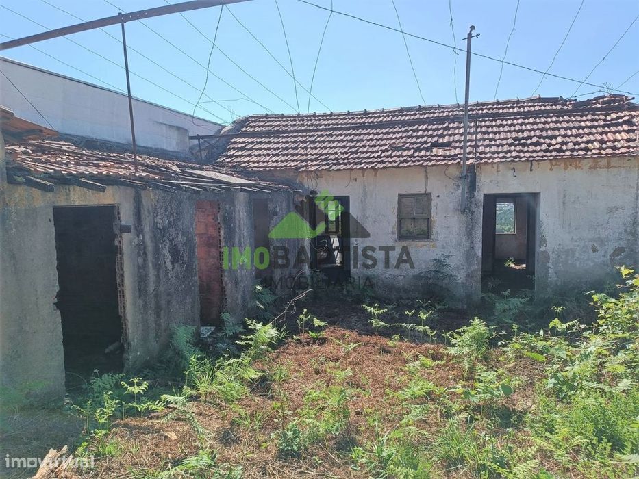 Ruína c/ terreno em Lobão (1346 m2)