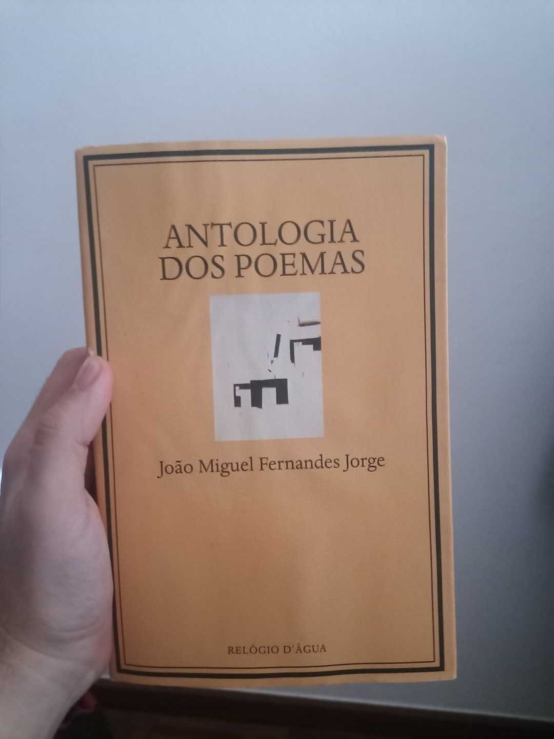 Antologia dos poemas de João Miguel Fernandes Jorge