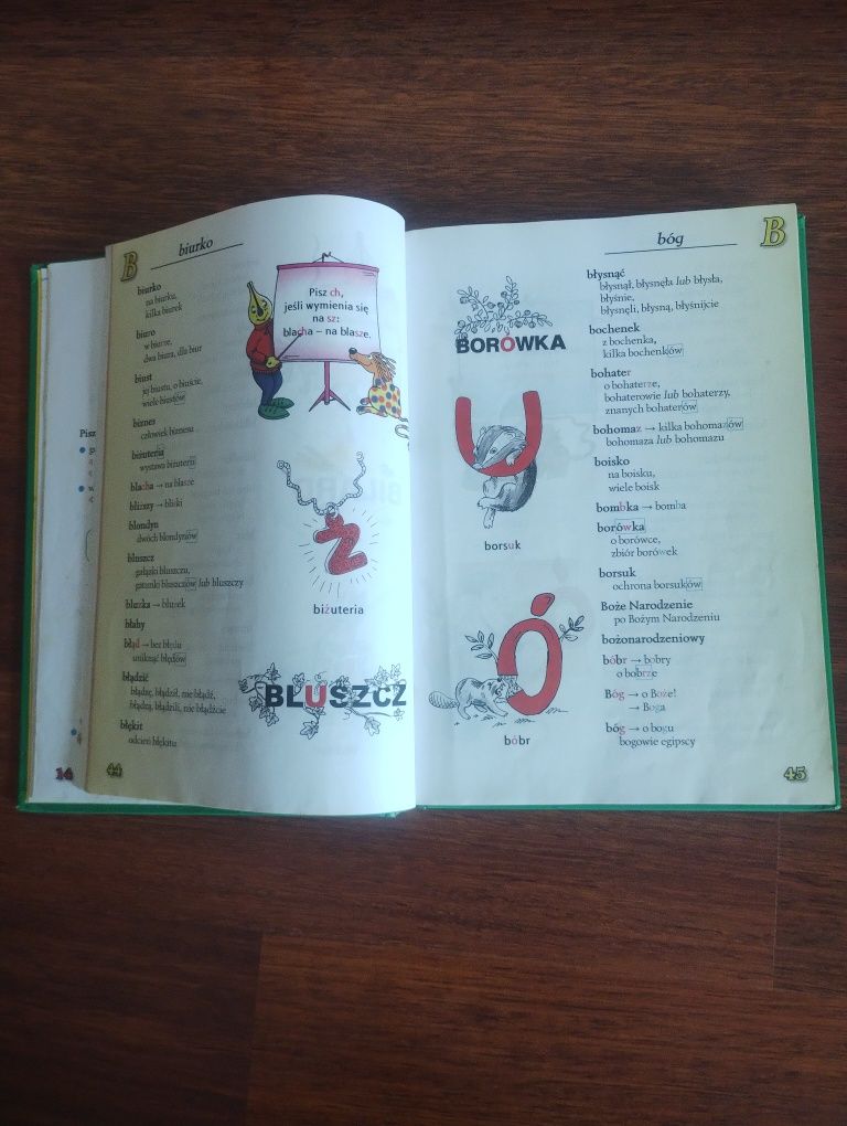 Ilustrowany słownik ortograficzny