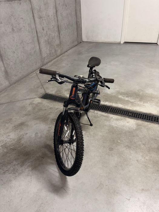 Orbea MX20 Rower