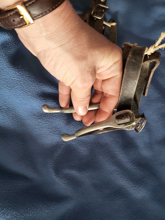 Ostrogi rożne tanio