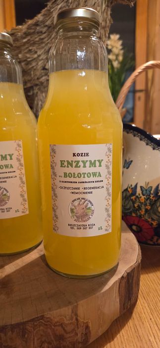 Enzymy Bołotowa Zakwas na koziej serwatce 6 litrów