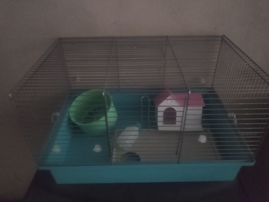 Klatka dla chomika...