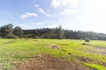 Terreno em Vila Verde de Ficalho | Oportunidade Única com 35,48 Hectar