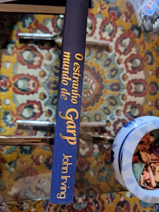 O estranho mundo de Garp