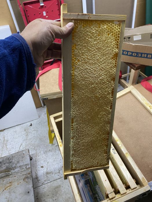 Крем Мед зі смаками сублімованих фруктів та сотовий мед