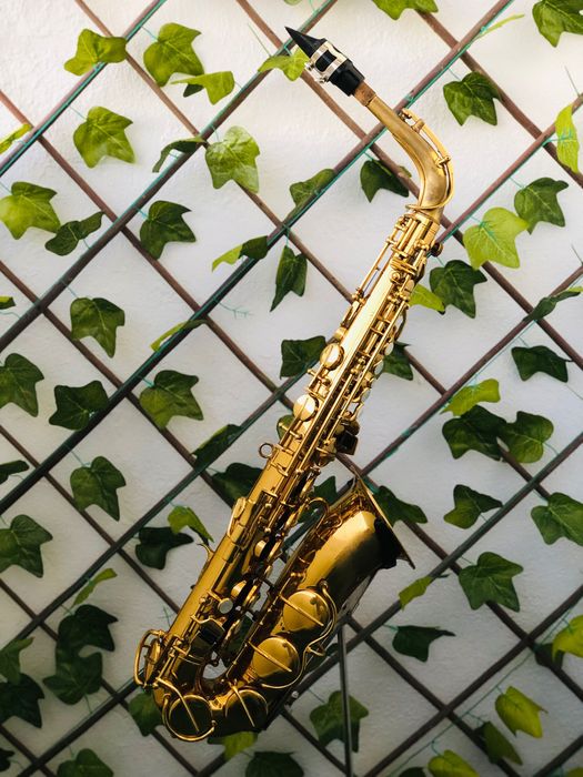 Saxofone Alto Hohner President