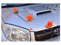 Dekoracja na samochód do ślubu herbaciana pomarańcze 372