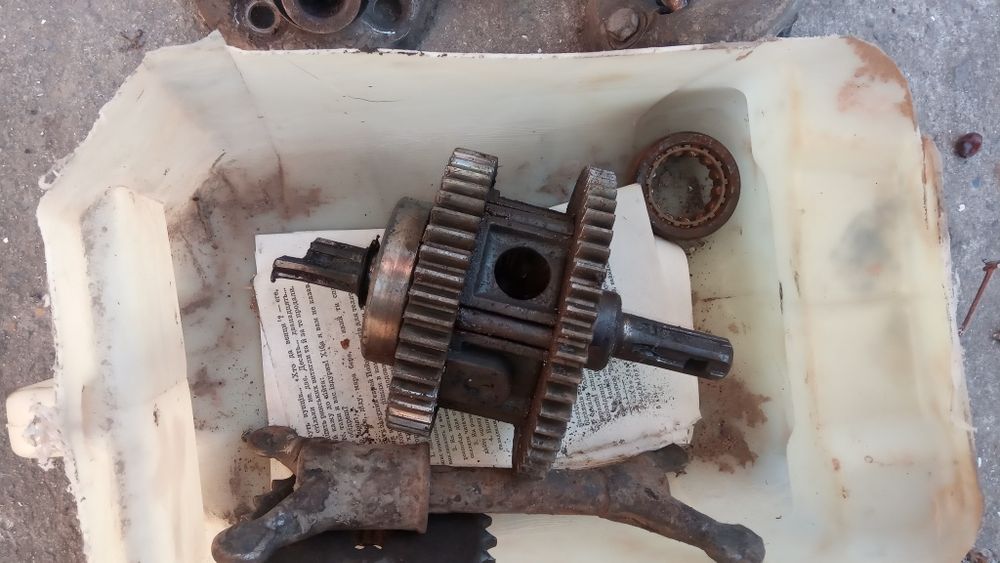 муравей инвалидка  кпп