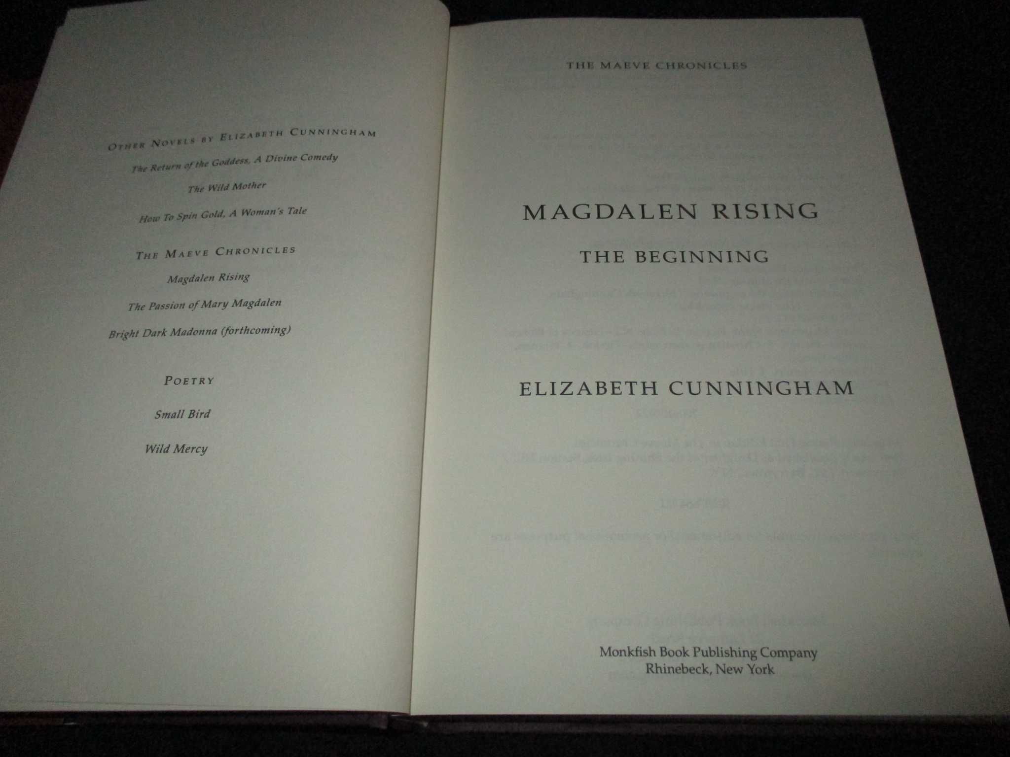 Livro Magdalen Rising Elizabeth Cunningham Maeve Chronicles