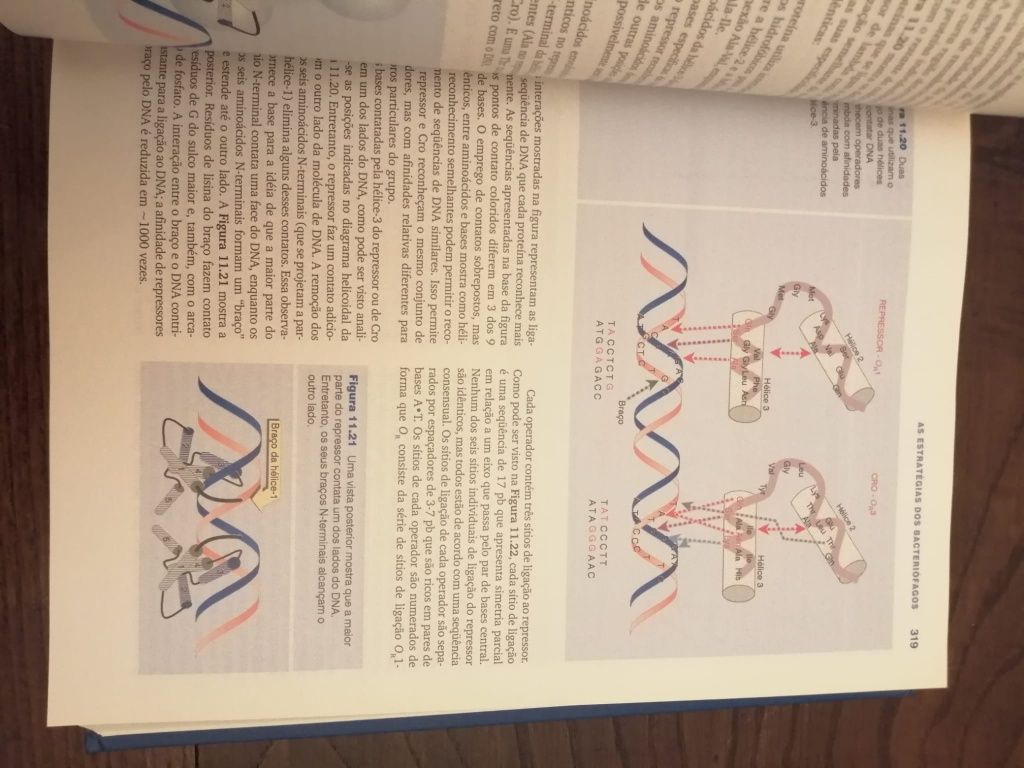 Genes VII em português