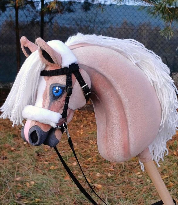 Izabelowaty konik Hobby Horse A4 + sprzęt