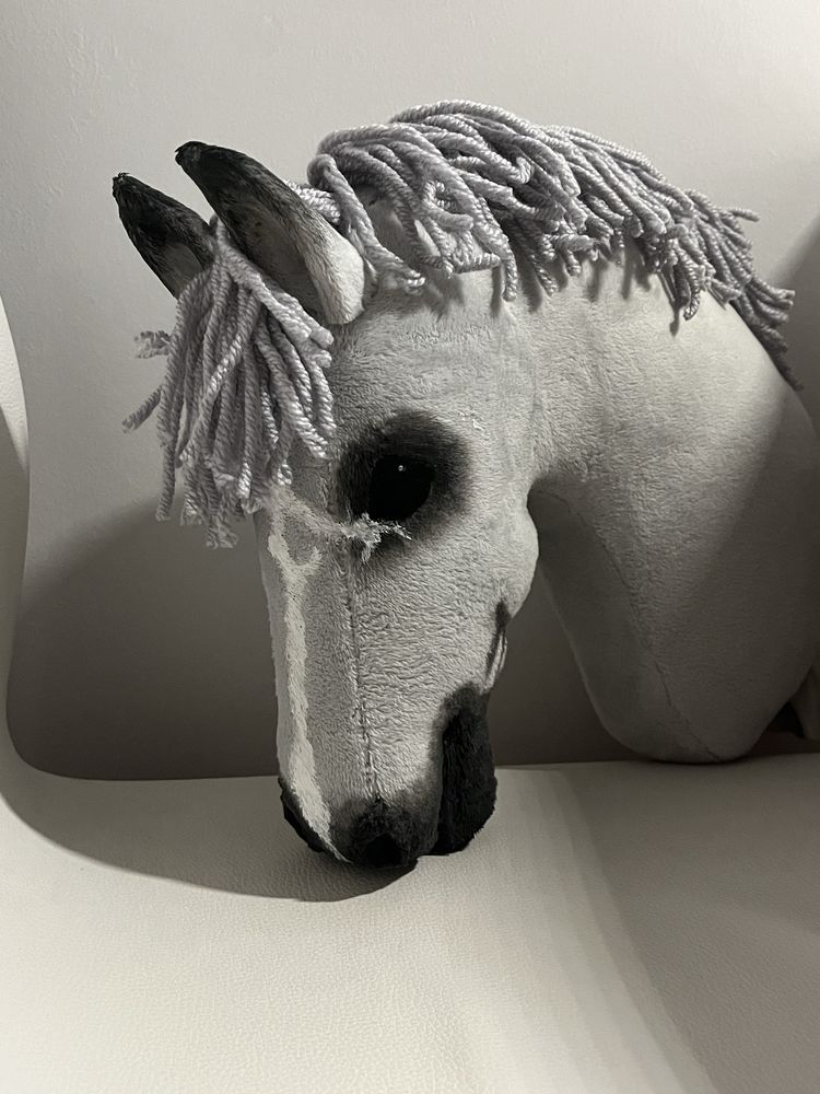 Hobby horse.