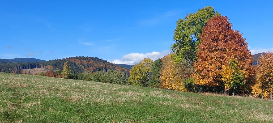 Działka w górach