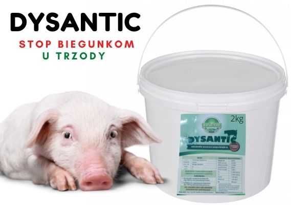DYSANTIC 25kg - stop biegunkom u trzody chlewnej_BEZ KARENCJI