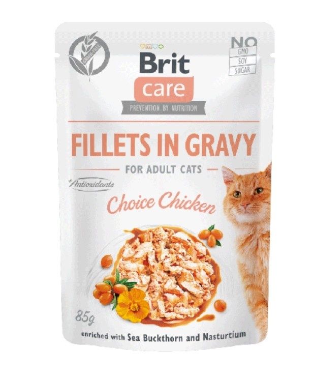 Brit Care Cat Pouches Fillets z kurczakiem 10x85g