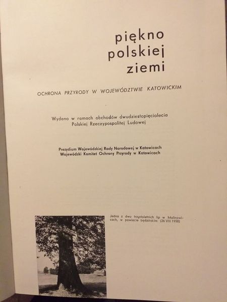 Piękno polskiej ziemi Ochrona przyrody w woj.katowickim Katowice 1969