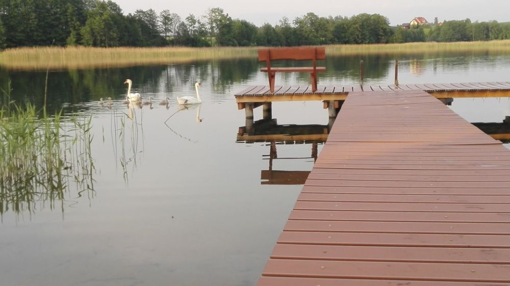 Domek nad jeziorem, Sejneńszczyzna, Augustów.