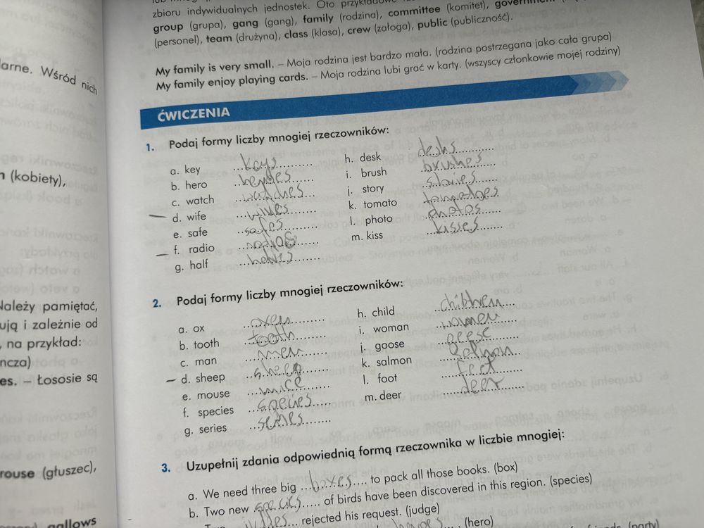 Wielka gramatyka jezyka angielskiego z cwiczeniami A1-C2 Edgard uzywa