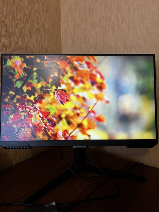 Монітор 25" Samsung Odyssey G4 S25BG40 240Гц