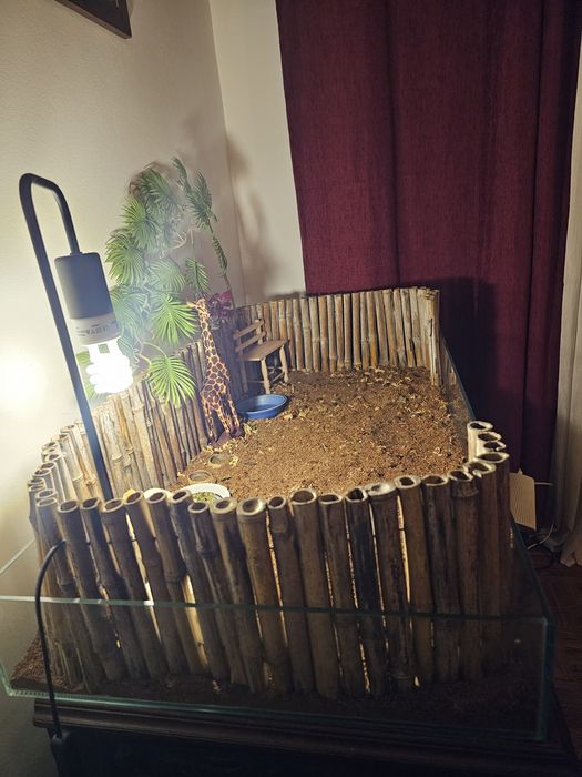 Terrario para animais