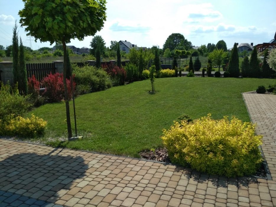 TANIO!!wycinka drzew,koszenie,pielegnacja zieleniZrebkowanie gałęzi