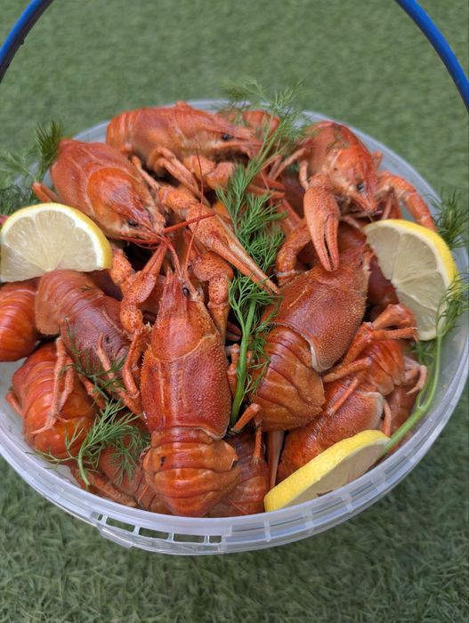 Живі Раки опт, роздріб, узв