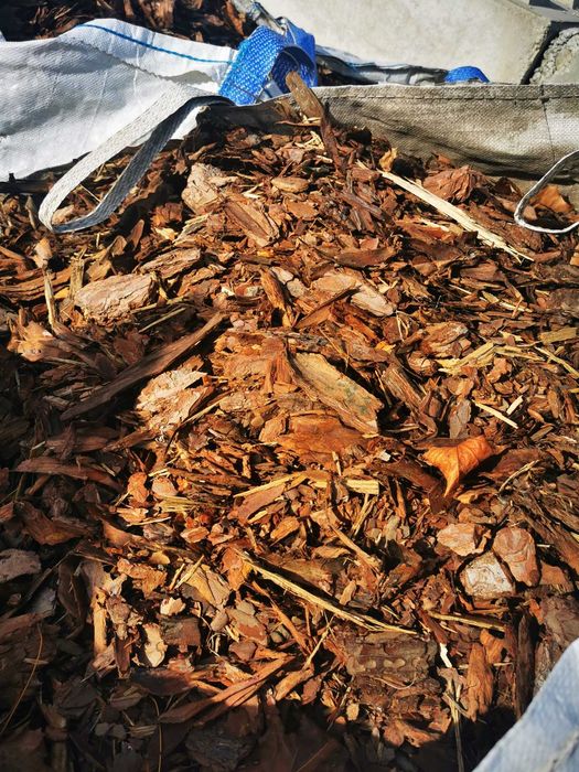 Kora sosnowa w Big bagach