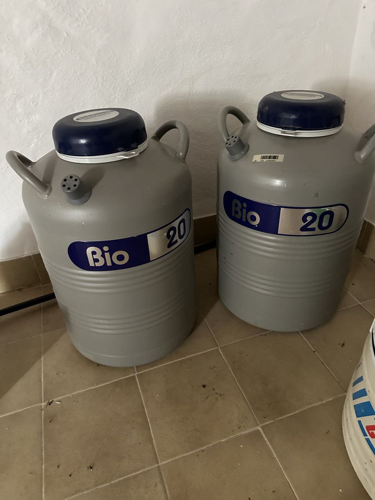 Contentores azoto