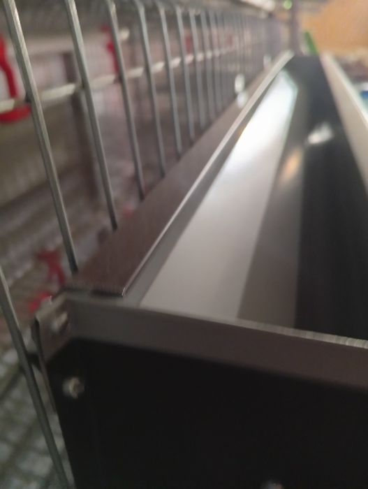 Клітка для перепілок несушок