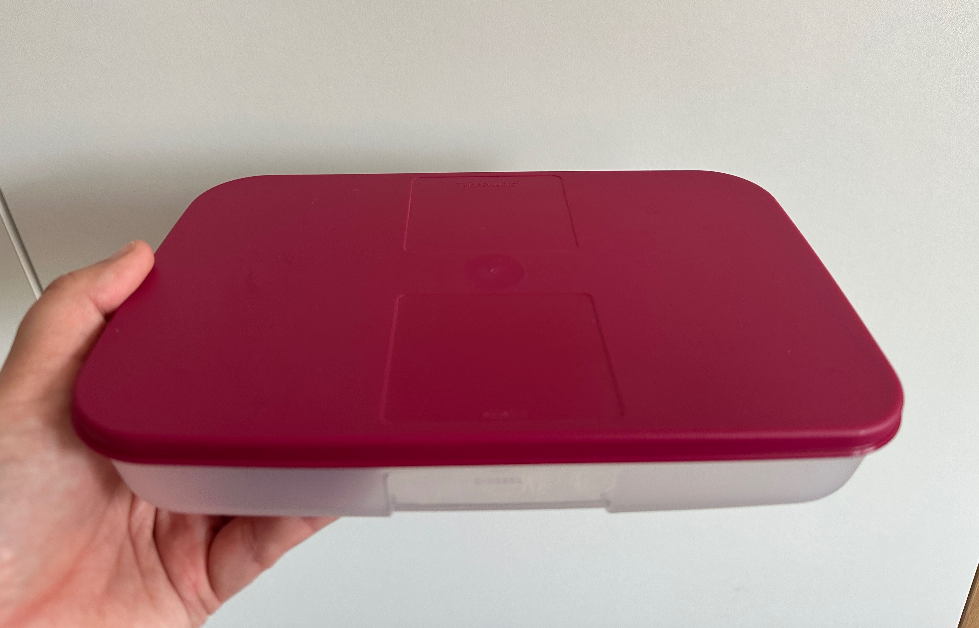 Caixa Refrigeradora 650 ml Tupperware