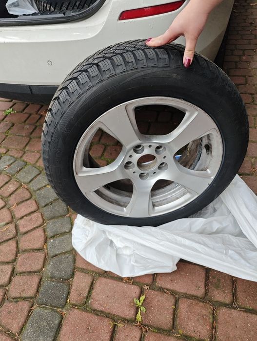 Felgi BMW 17" Spider Spoke 157 5x120 ET34 + opony zimowe Neolin nówki!